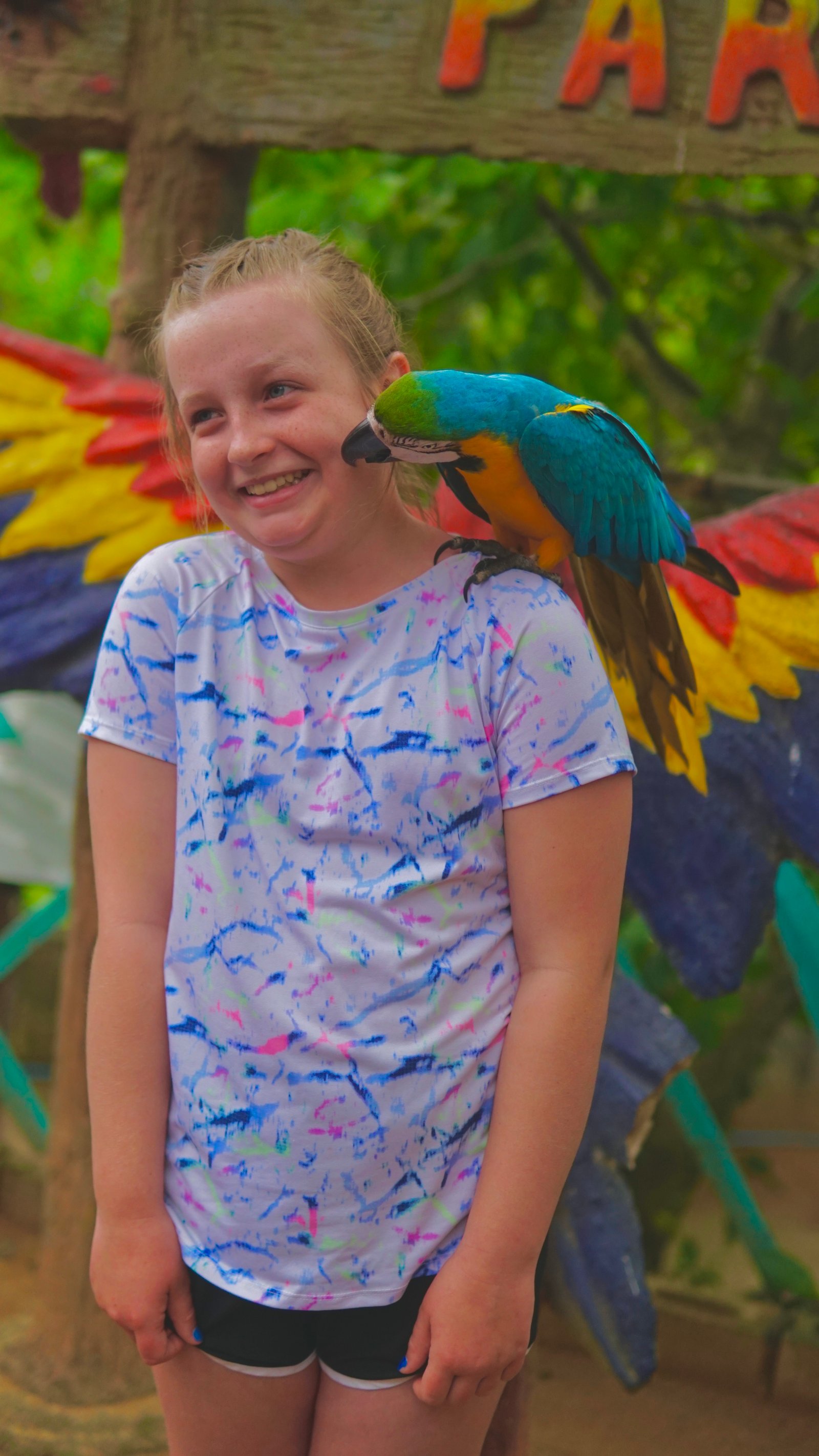 ALMAR Roatan Tours